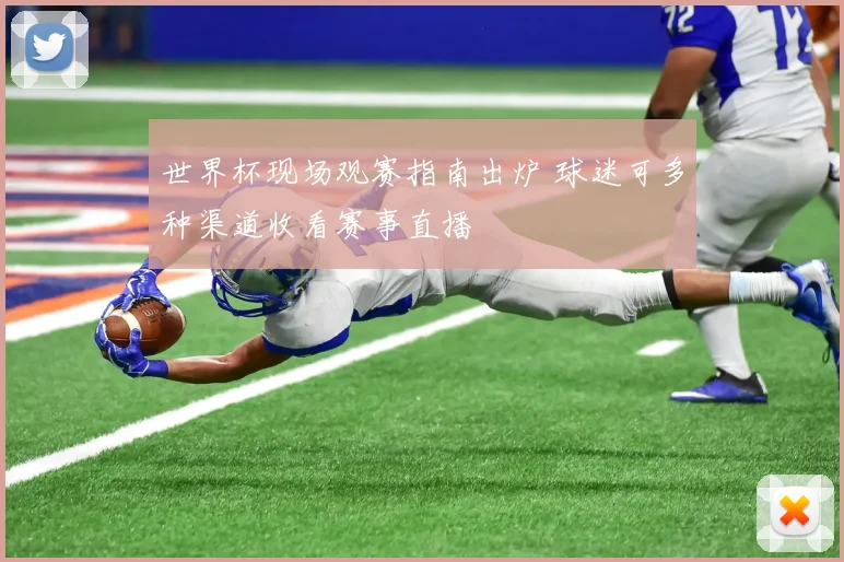 世界杯现场观赛指南出炉 球迷可多种渠道收看赛事直播
