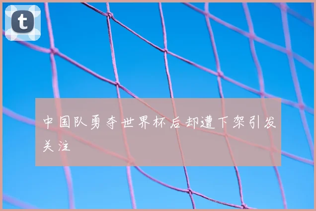 中国队勇夺世界杯后却遭下架引发关注